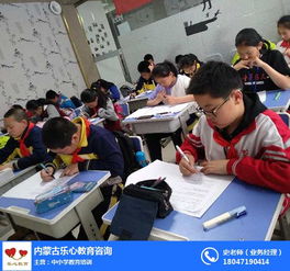 內(nèi)蒙古樂(lè)心教育咨詢有限責(zé)任公司